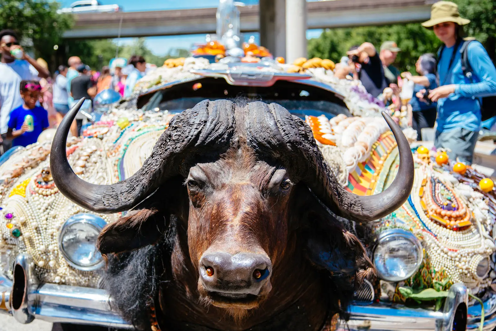 A stuffed water buffalo head adorns the front of an entry car in the Art Car Parade