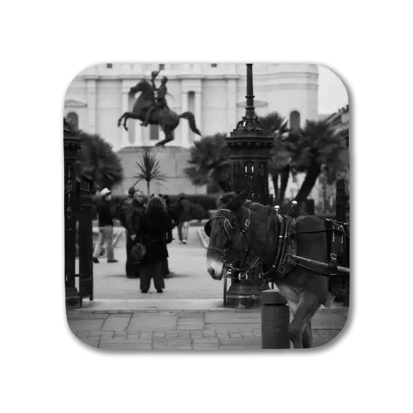 Coaster featuring a B&W image of a mule and carriage in front of the St Louis Cathedral in New Orleans