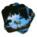 Set of four coasters featuring palm trees around Palm Springs, California