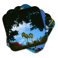 Set of four coasters featuring palm trees around Palm Springs, California