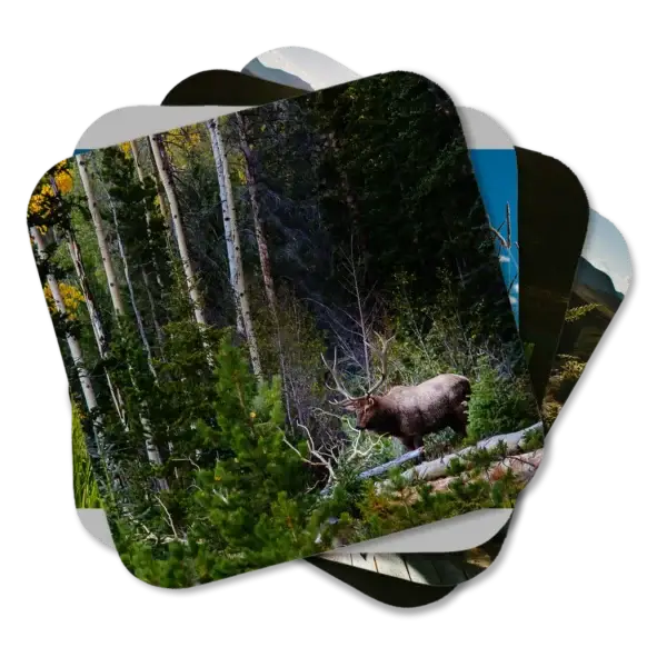 Colorado Rocky Mountain National Park Photo Coaster Set A set of four coasters featuring colorful scenes from Rocky Mountain National Park