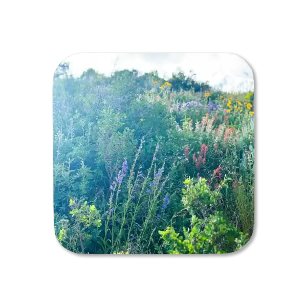 Wildflowers stand tall, weaving against one another in Crested Butte, artwork for a coaster
